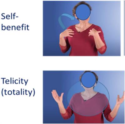 Effects of pedagogical gestures on learning abstract grammatical concepts in young adults